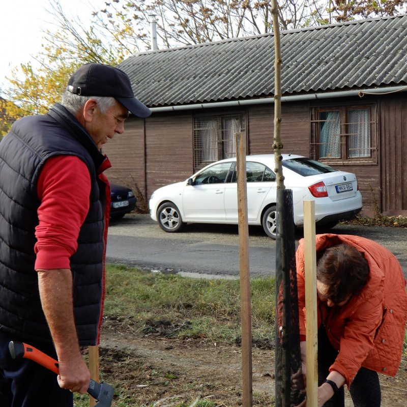 Közösségi faültetés Berettyóújfaluban 26